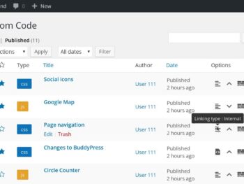 SilkyPress | Simple Custom CSS and JS PRO