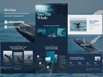 BlueHope - Kit de modelos de elementos de conservação marinha e de baleias