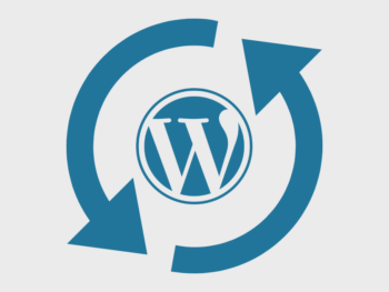 Pluginthemebr Auto Updater [1 SITE] [ANUAL]